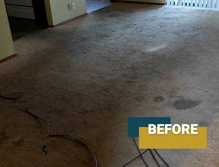 Carpet Cleaning Kennewick Before Two