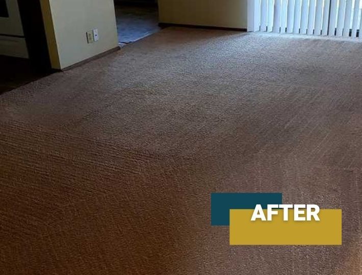 Carpet Cleaning Benton Franklin After Two